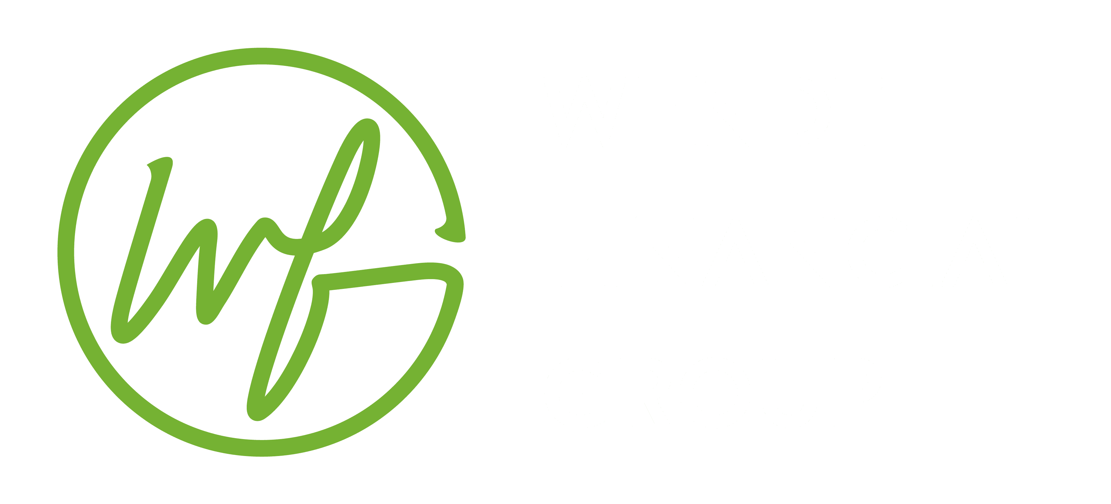 Wendt Financial Group
